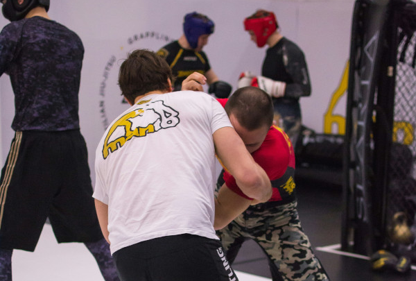 Cours de MMA